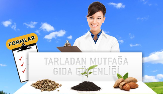 Tarladan Mutfağa Gıda Güvenliği